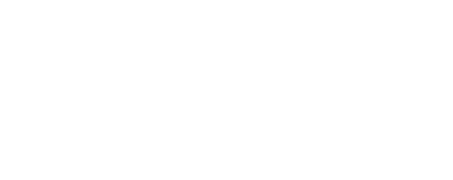 Carolina Patricio logo